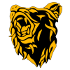 David Brearley High School